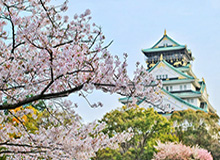 MK体育登录入口-埃梅里变阵仍难求一胜 阿森纳又在领先后被扳平…
